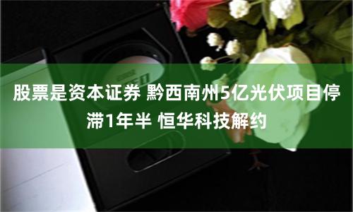 股票是资本证券 黔西南州5亿光伏项目停滞1年半 恒华科技解约