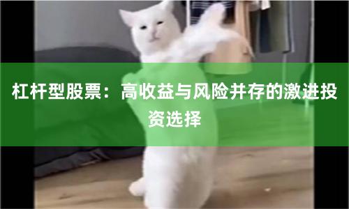 杠杆型股票:高收益与风险并存的激进投资选择