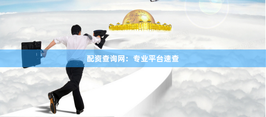 配资查询网：专业平台速查